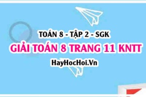 Giải Toán 8 trang 11 tập 2 Kết nối tri thức